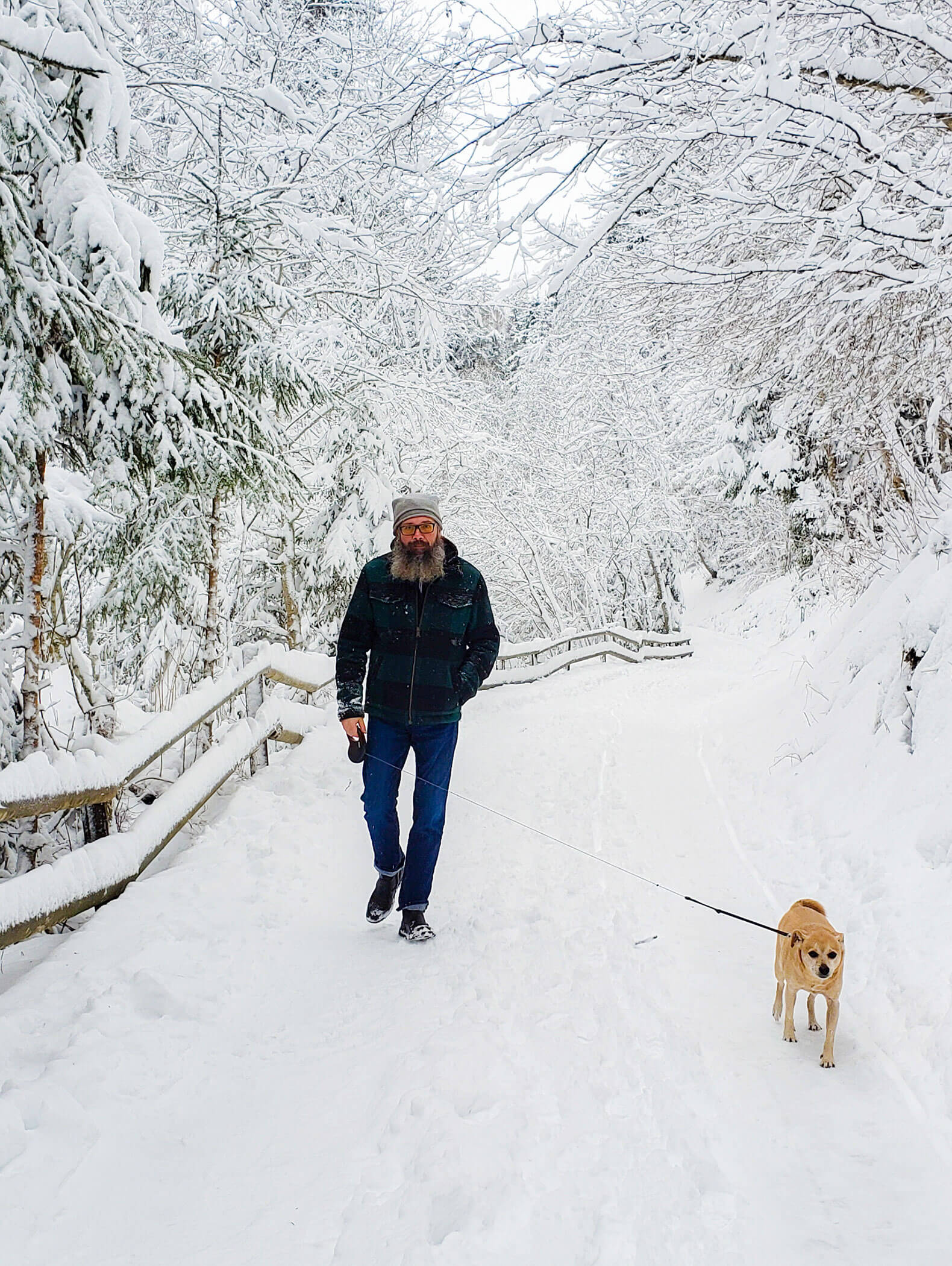 Ein Mann geht mit einem kleinen Hund auf einem verschneiten Weg, der von frisch verschneiten Bäumen gesäumt ist. - Majestic Resorts (Relaunch)