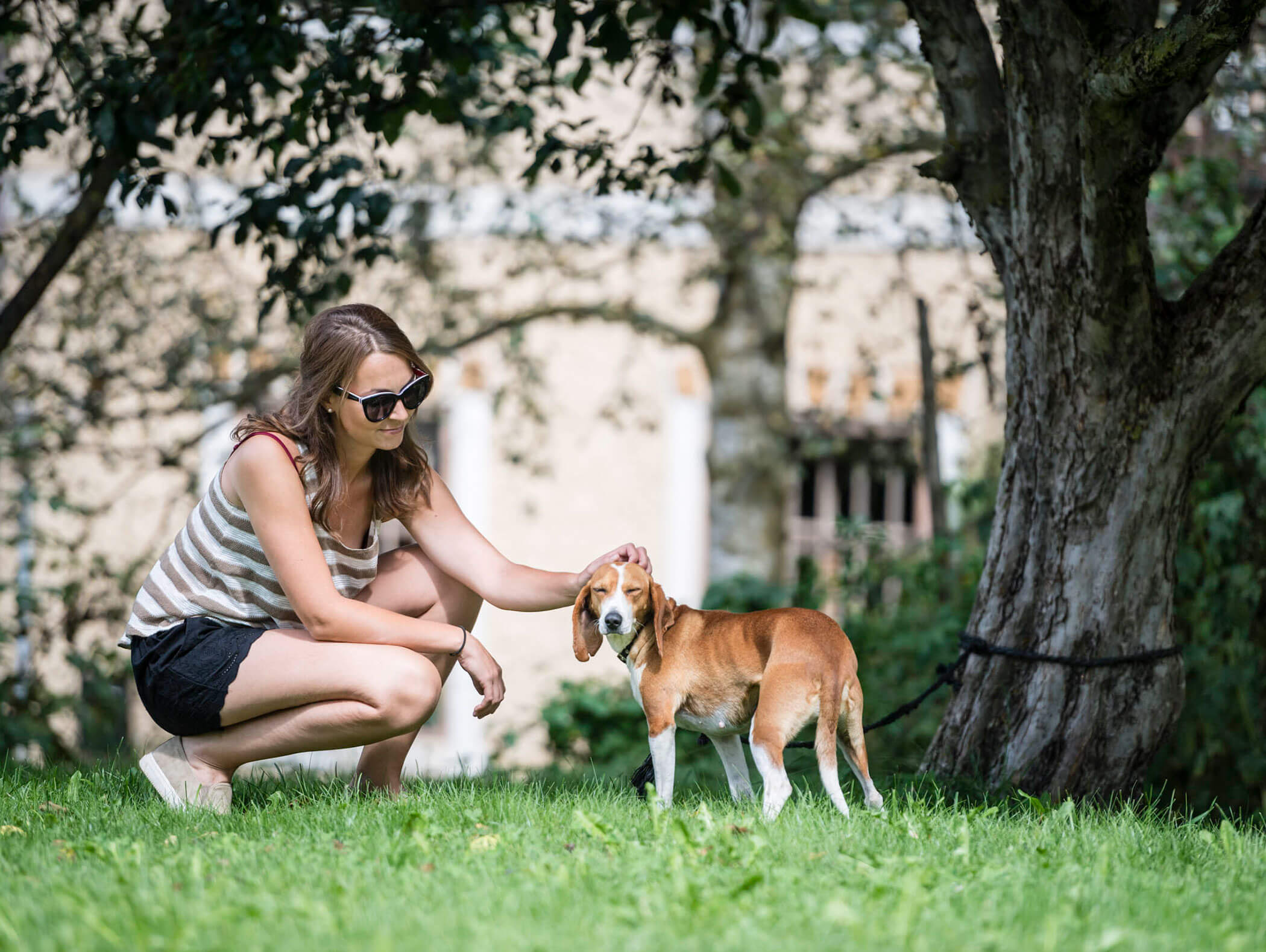 Frau mit Sonnenbrille kniet im Gras und streichelt einen braun-weißen Hund in der Nähe eines Baumes an einem sonnigen Tag. - Majestic Resorts (Relaunch)