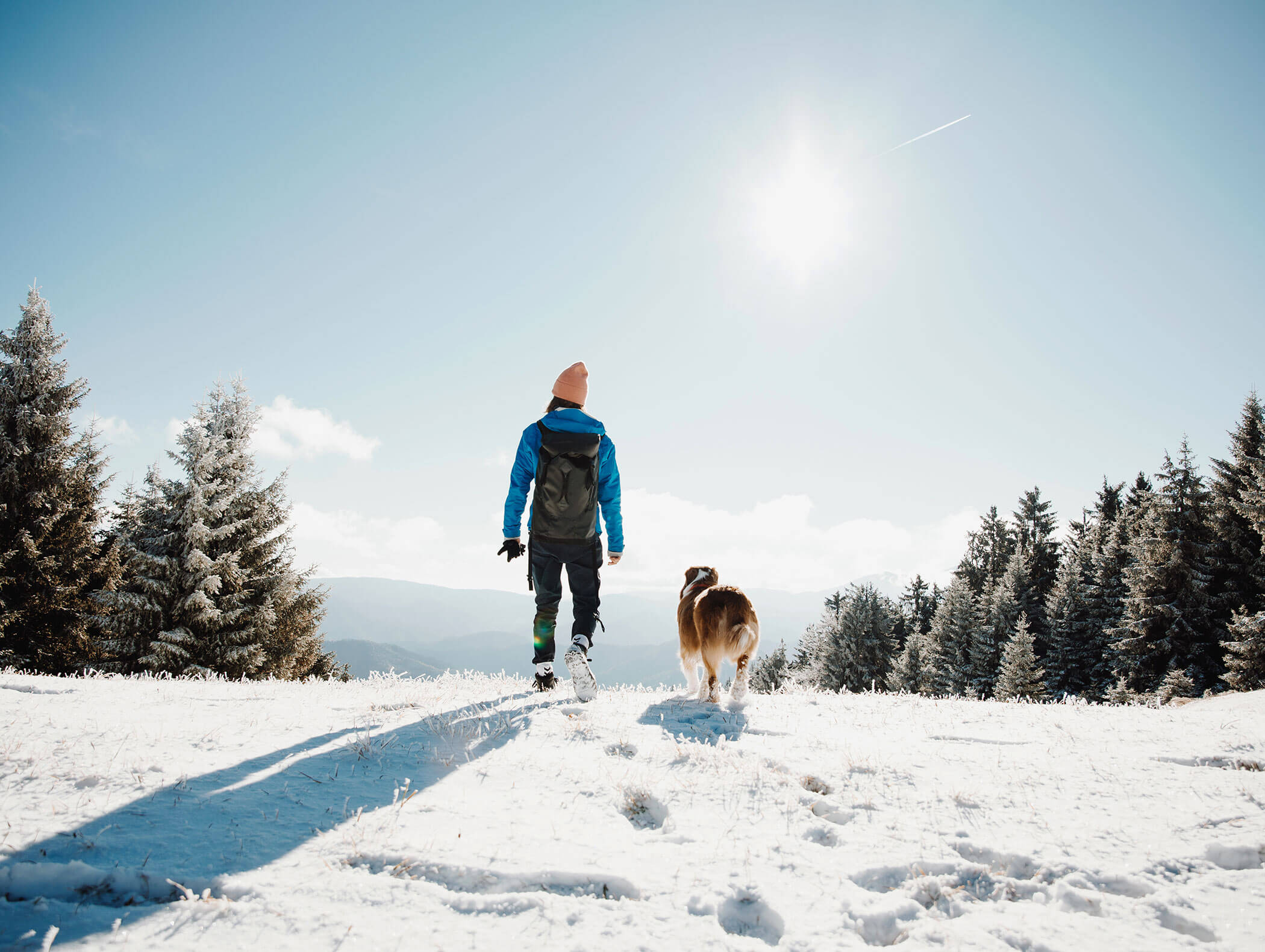 Mensch und Hund gehen durch ein verschneites Feld in Richtung Bäume unter einem hellen, klaren Himmel. - Majestic Resorts (Relaunch)