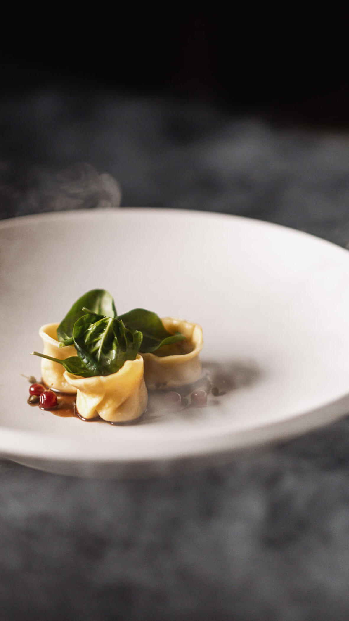 Drei Tortellini mit Grünzeug und Beeren auf einem weißen Teller, umgeben von Dampf- oder Rauchschwaden. - Majestic Resorts (Relaunch)